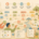 The structure plane: organize the experience